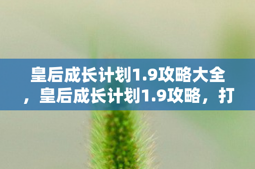 皇后成长计划1.9攻略大全，皇后成长计划1.9攻略，打造你的宫廷之路