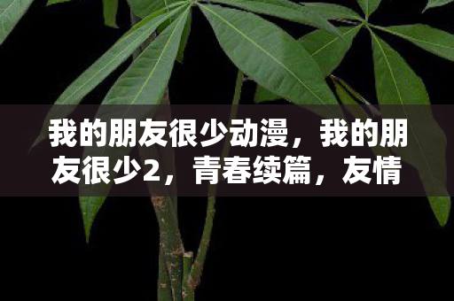 我的朋友很少动漫,我的朋友很少2,青春续篇,友情再续 我的朋友很少动漫,我的朋友很少2,青春续篇,友情再续