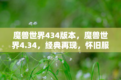 魔兽世界434版本，魔兽世界4.34，经典再现，怀旧服热潮背后的故事