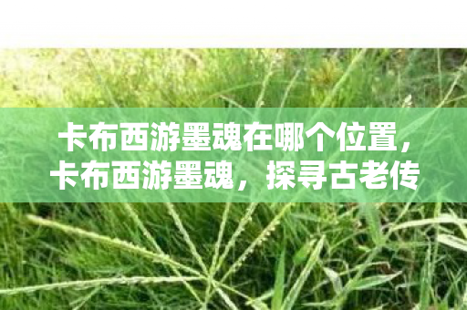 卡布西游墨魂在哪个位置，卡布西游墨魂，探寻古老传说中的神秘存在