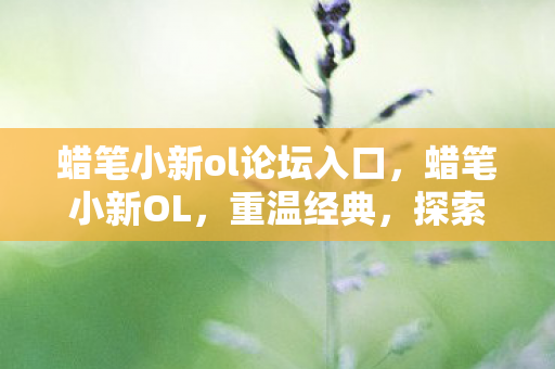 蜡笔小新ol论坛入口，蜡笔小新OL，重温经典，探索小新世界的奇妙冒险