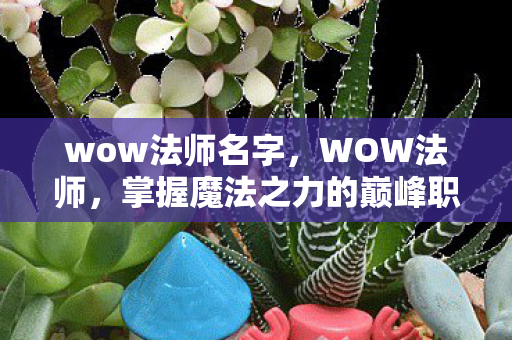wow法师名字，WOW法师，掌握魔法之力的巅峰职业体验
