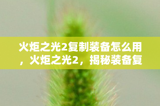 火炬之光2复制装备怎么用,火炬之光2,揭秘装备复制技巧,打造无限可能! 火炬之光2复制装备怎么用,火炬之光2,揭秘装备复制技巧,打造无限可能!