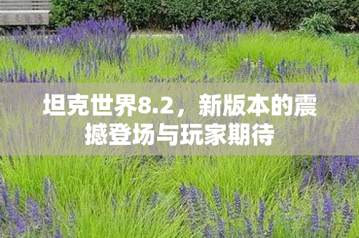 坦克世界8.2，新版本的震撼登场与玩家期待