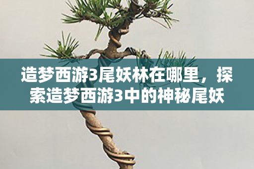 造梦西游3尾妖林在哪里，探索造梦西游3中的神秘尾妖林