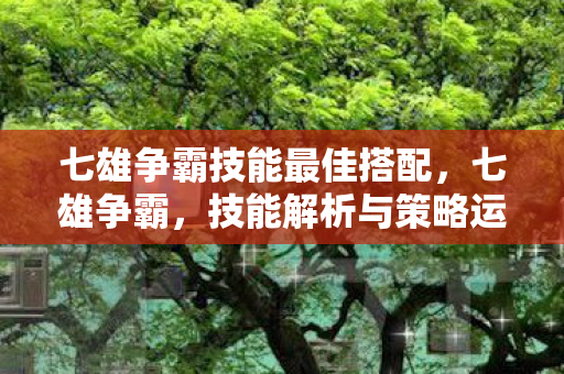 七雄争霸技能最佳搭配,七雄争霸,技能解析与策略运用 七雄争霸技能最佳搭配,七雄争霸,技能解析与策略运用