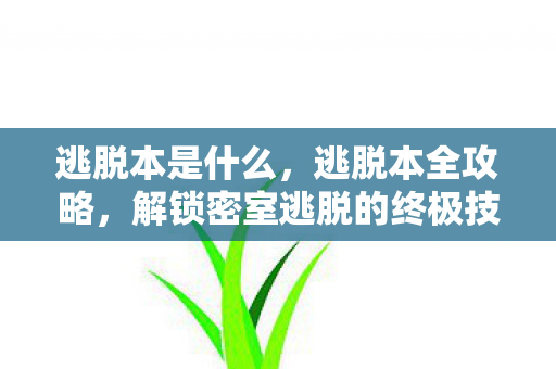 逃脱本是什么，逃脱本全攻略，解锁密室逃脱的终极技巧