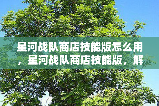 星河战队商店技能版怎么用，星河战队商店技能版，解锁星际战斗新篇章