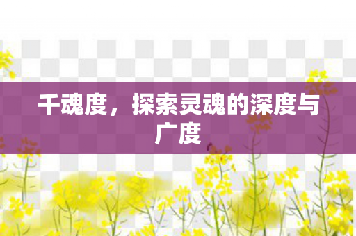千魂度，探索灵魂的深度与广度