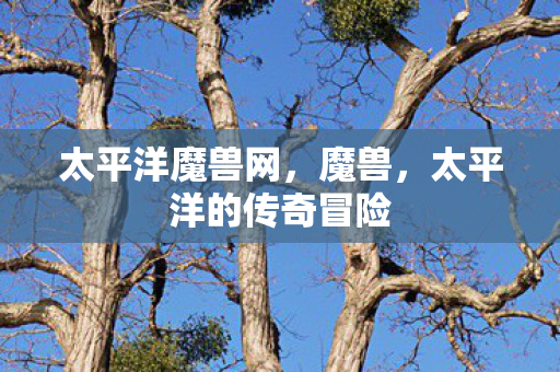 太平洋魔兽网，魔兽，太平洋的传奇冒险