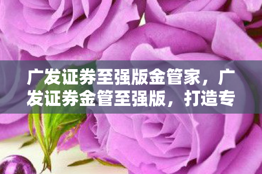 广发证券至强版金管家,广发证券金管至强版,打造专业投资者的财富引擎 广发证券至强版金管家,广发证券金管至强版,打造专业投资者的财富引擎