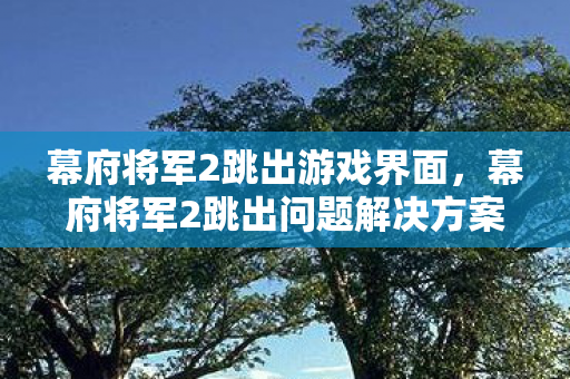 幕府将军2跳出游戏界面,幕府将军2跳出问题解决方案 幕府将军2跳出游戏界面,幕府将军2跳出问题解决方案