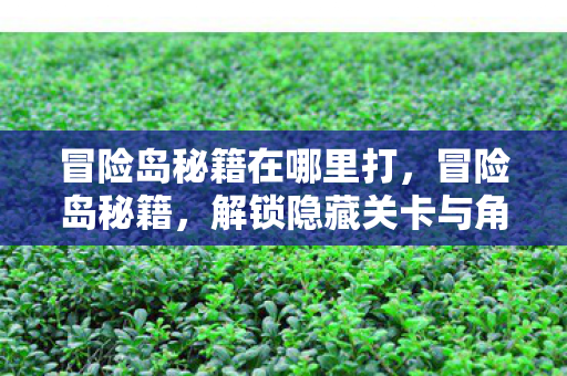 冒险岛秘籍在哪里打,冒险岛秘籍,解锁隐藏关卡与角色技能 冒险岛秘籍在哪里打,冒险岛秘籍,解锁隐藏关卡与角色技能