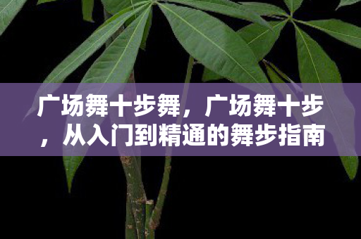 广场舞十步舞，广场舞十步，从入门到精通的舞步指南