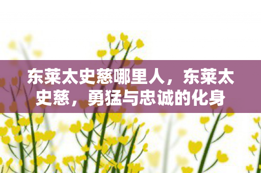 东莱太史慈哪里人，东莱太史慈，勇猛与忠诚的化身