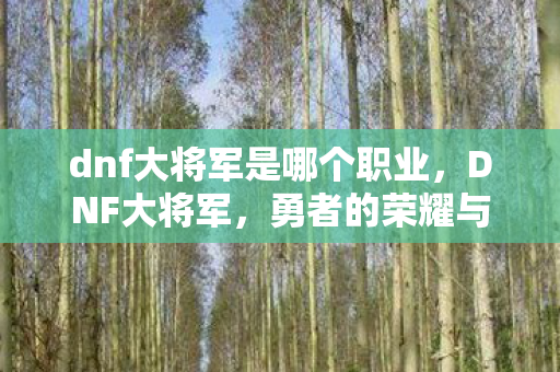 dnf大将军是哪个职业,DNF大将军,勇者的荣耀与传奇 dnf大将军是哪个职业,DNF大将军,勇者的荣耀与传奇