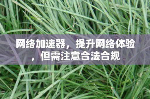 网络加速器，提升网络体验，但需注意合法合规