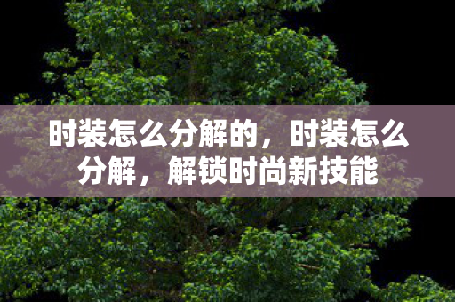 时装怎么分解的,时装怎么分解,解锁时尚新技能 时装怎么分解的,时装怎么分解,解锁时尚新技能
