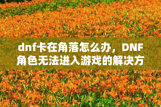 dnf卡在角落怎么办，DNF角色无法进入游戏的解决方法