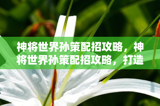 神将世界孙策配招攻略，神将世界孙策配招攻略，打造最强战斗阵容