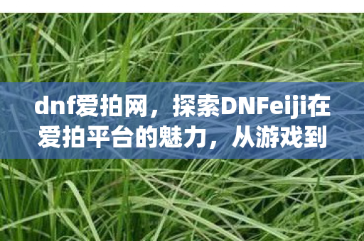 dnf爱拍网，探索DNFeiji在爱拍平台的魅力，从游戏到艺术的华丽蜕变