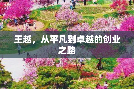 王越，从平凡到卓越的创业之路