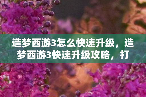 造梦西游3怎么快速升级,造梦西游3快速升级攻略,打造高效战斗力的秘诀 造梦西游3怎么快速升级,造梦西游3快速升级攻略,打造高效战斗力的秘诀