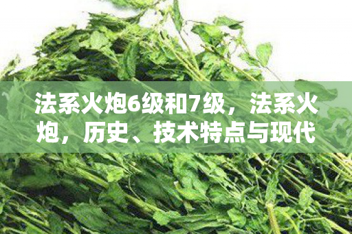 法系火炮6级和7级,法系火炮,历史、技术特点与现代应用 法系火炮6级和7级,法系火炮,历史、技术特点与现代应用