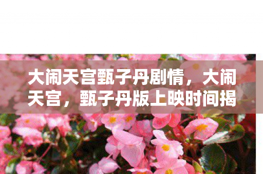 甄子丹版上映时间揭秘图片