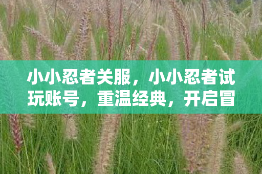 小小忍者关服，小小忍者试玩账号，重温经典，开启冒险之旅