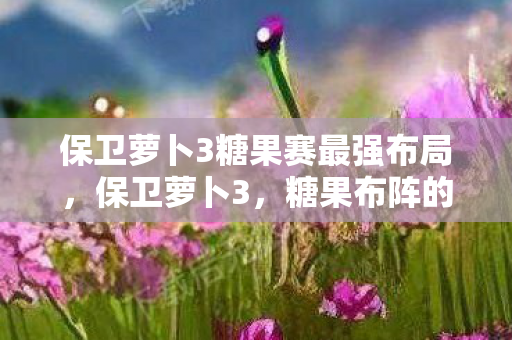 保卫萝卜3糖果赛最强布局，保卫萝卜3，糖果布阵的奇妙世界