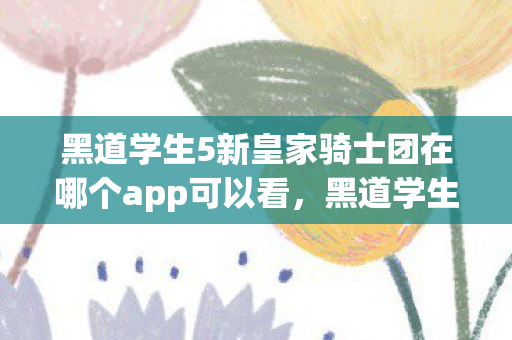 黑道学生5新皇家骑士团在哪个app可以看，黑道学生5皇骑士，青春与黑道的交织