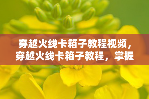 穿越火线卡箱子教程视频，穿越火线卡箱子教程，掌握技巧，轻松穿越障碍