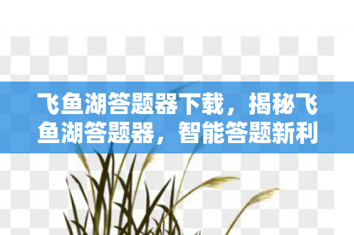 飞鱼湖答题器下载，揭秘飞鱼湖答题器，智能答题新利器