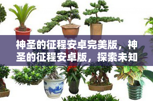 神圣的征程安卓完美版，神圣的征程安卓版，探索未知世界的奇幻之旅