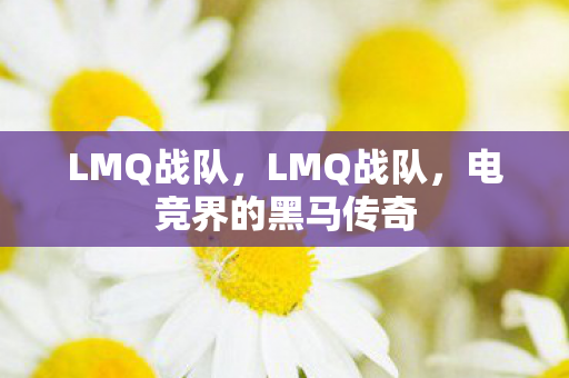 LMQ战队,LMQ战队,电竞界的黑马传奇 LMQ战队,LMQ战队,电竞界的黑马传奇
