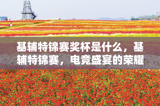 基辅特锦赛奖杯是什么,基辅特锦赛,电竞盛宴的荣耀与挑战 基辅特锦赛奖杯是什么,基辅特锦赛,电竞盛宴的荣耀与挑战