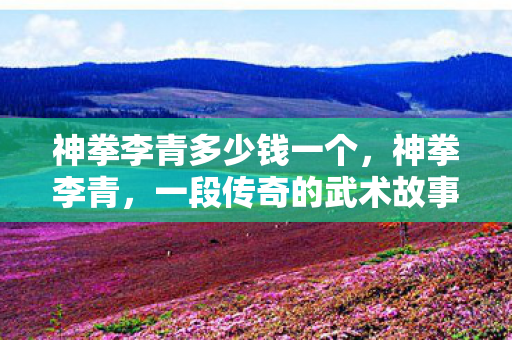 神拳李青多少钱一个，神拳李青，一段传奇的武术故事