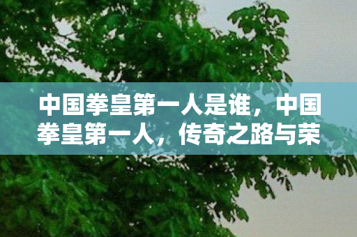 中国拳皇第一人是谁，中国拳皇第一人，传奇之路与荣耀时刻