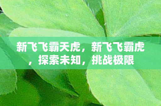新飞飞霸天虎,新飞飞霸虎,探索未知,挑战极限 新飞飞霸天虎,新飞飞霸虎,探索未知,挑战极限