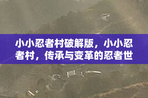小小忍者村破解版,小小忍者村,传承与变革的忍者世界 小小忍者村破解版,小小忍者村,传承与变革的忍者世界