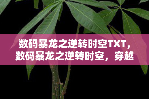 数码暴龙之逆转时空TXT,数码暴龙之逆转时空,穿越时空的冒险之旅 数码暴龙之逆转时空TXT,数码暴龙之逆转时空,穿越时空的冒险之旅