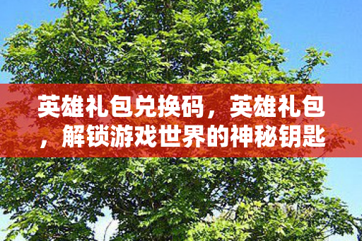 英雄礼包兑换码，英雄礼包，解锁游戏世界的神秘钥匙
