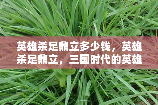 英雄杀足鼎立多少钱，英雄杀足鼎立，三国时代的英雄与智谋