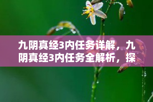 九阴真经3内任务详解，九阴真经3内任务全解析，探寻江湖隐秘，解锁绝世武功