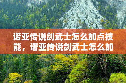 诺亚传说剑武士怎么加点技能，诺亚传说剑武士怎么加点？