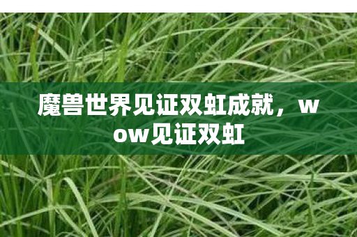 魔兽世界见证双虹成就，wow见证双虹