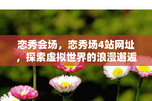 恋秀会场，恋秀场4站网址，探索虚拟世界的浪漫邂逅