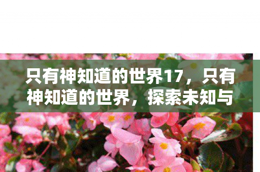 只有神知道的世界17，只有神知道的世界，探索未知与信仰的奇妙之旅