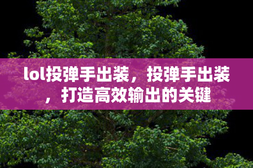 lol投弹手出装，投弹手出装，打造高效输出的关键